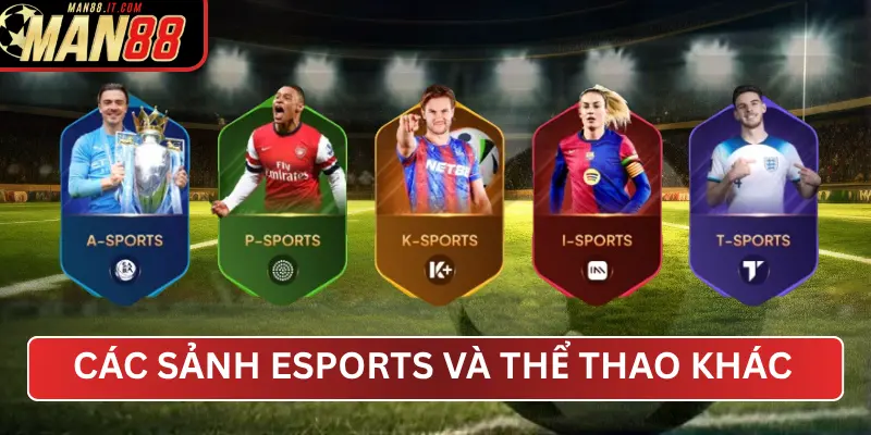 Các Sảnh eSports Và Thể Thao Ảo Khác Tại MAN88